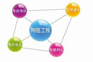 網(wǎng)絡(luò)工程與網(wǎng)站建設(shè) 數(shù)字化轉(zhuǎn)型的核心支柱